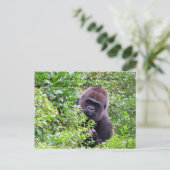 Random Acts of Kindness Briefkaart - Gorilla Editi (Staand voorkant)