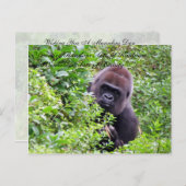 Random Acts of Kindness Briefkaart - Gorilla Editi (Voorkant / Achterkant)