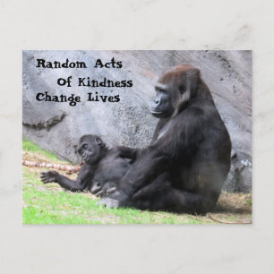 Random Acts of Kindness Briefkaart - Gorilla Famil