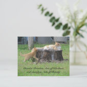 Random Acts of Kindness Briefkaart - Momma Kat (Staand voorkant)