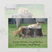 Random Acts of Kindness Briefkaart - Momma Kat (Voorkant / Achterkant)