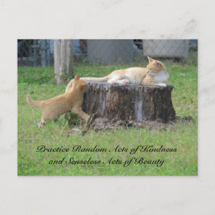 Random Acts of Kindness Briefkaart - Momma Kat