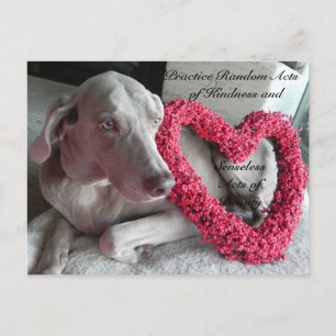 Random Acts of Kindness Briefkaart - Regen