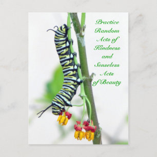 Random Acts of Kindness - Monarch Caterstyle Briefkaart