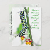 Random Acts of Kindness - Monarch Caterstyle Briefkaart (Voorkant / Achterkant)