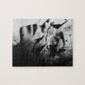 Random Art My Cat Made Birds op mijn hoofd Legpuzzel (Horizontaal)