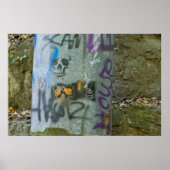 Random Graffiti: Scam Skulls on Pipe Redux Poster (Voorkant)