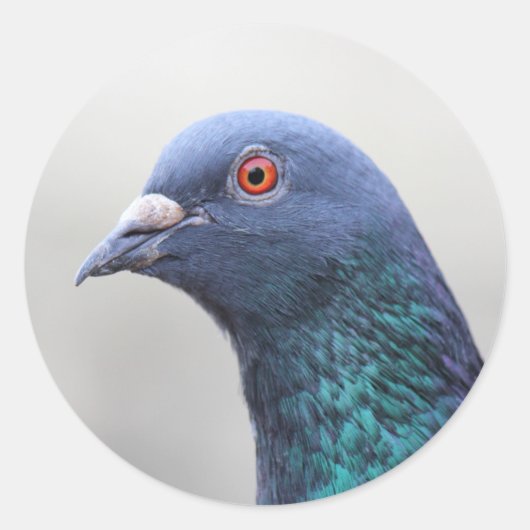Random Pigeon Ronde Sticker (Voorkant)