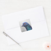 Random Pigeon Vierkante Sticker (Envelop)