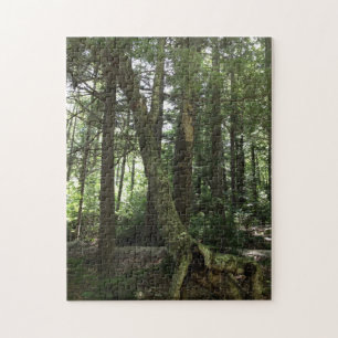 Randonnée de forêt photo puzzle puzzle