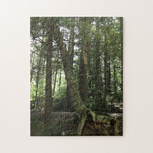 Randonnée de forêt photo puzzle puzzle (Vertical)