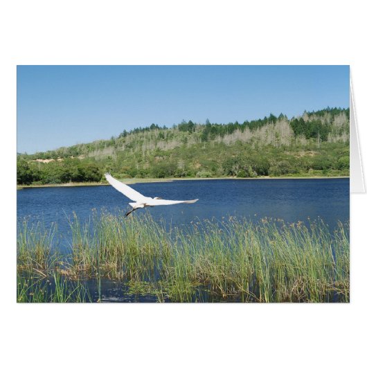 Randonnons au lac (Devant horizontal)