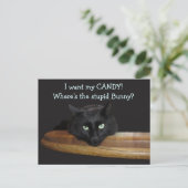 Range Le Lapin Bête de Pâques Carte Postale (Debout devant)