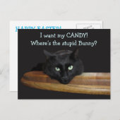 Range Le Lapin Stupide Carte de Pâques (Devant / Derrière)