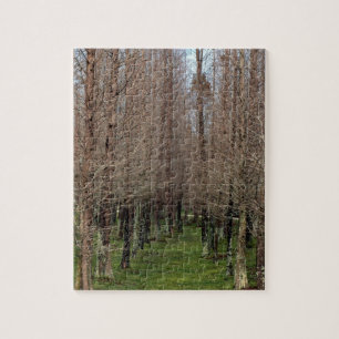 Rangée d'arbres créée dans un puzzle
