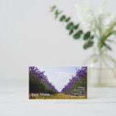 Rangée de carte de visite de lavande (Debout devant)