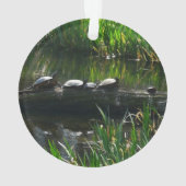 Rangée de tortues Green Nature Photo (dos)