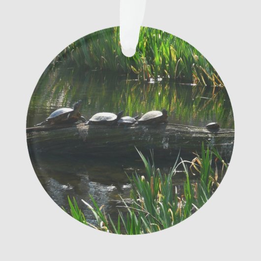 Rangée de tortues photo de la nature verte (devant)