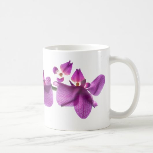 Rangée d'orchidée sur le blanc tasse blanche (Droite)
