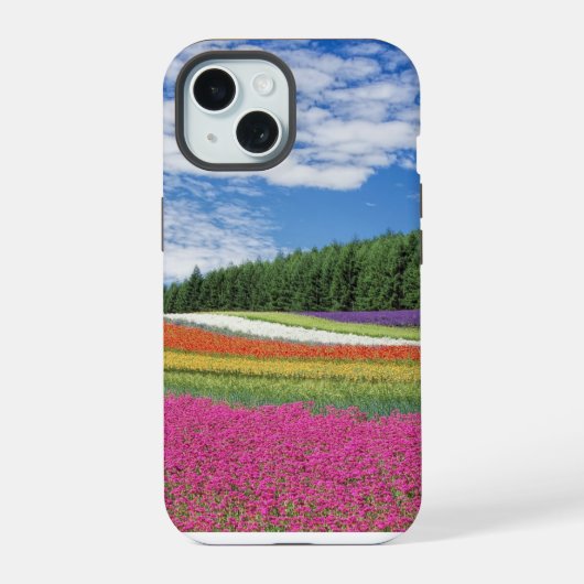 Rangées de fleurs de champ d'été (Verso)
