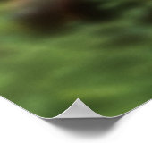 RANGER! 12 POSTER (Hoek)