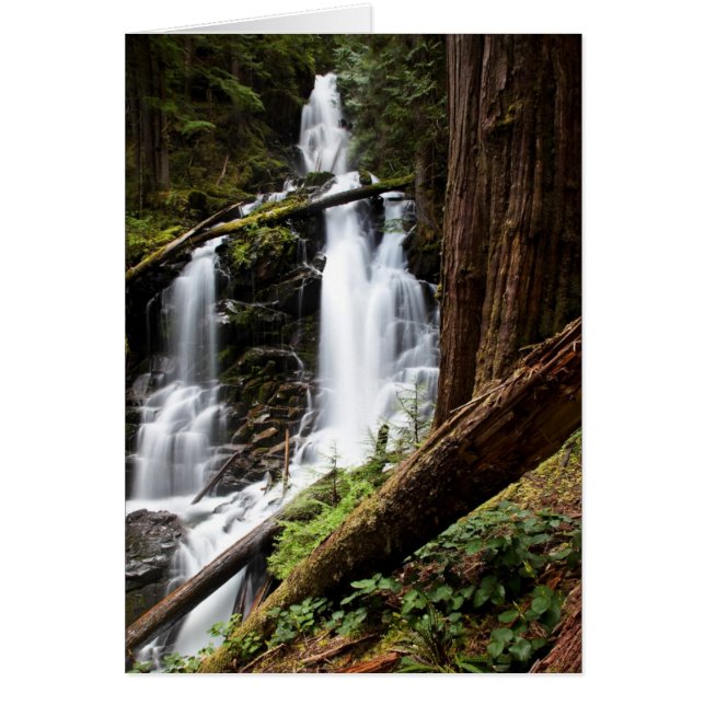 Ranger Falls (Devant)