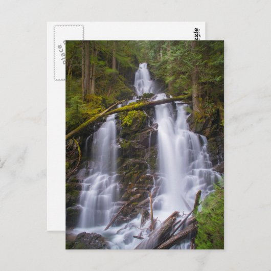 Ranger Herfsten, Mt. Rainer National Park Briefkaart (Voorkant / Achterkant)
