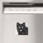 Ranger Kitten Nettoyant Aimant Paw (In Situ (Lave-vaisselle))