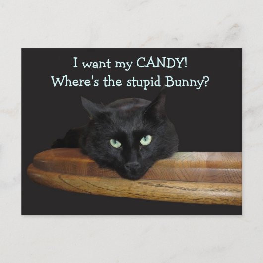 Ranger Le Lapin Stupide Carte de Pâques (Devant)