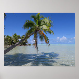 Rangiroa Blauwe Lagune Tropische Palm Poster