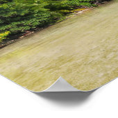 Rangiroa Palm Trees Poster (Hoek)