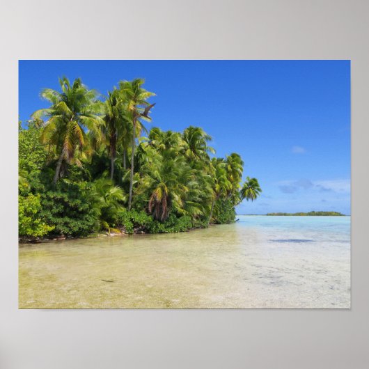 Rangiroa Palm Trees Poster (Voorkant)
