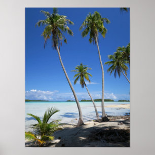 Rangiroa Poster