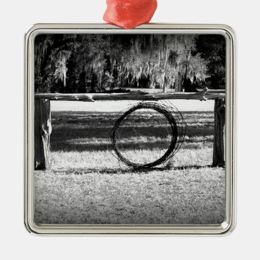 Rangschaal Metalen Ornament (Voorkant)