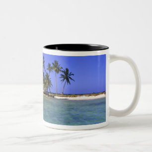 Ranguana Caye, Belize Tweekleurige Koffiemok