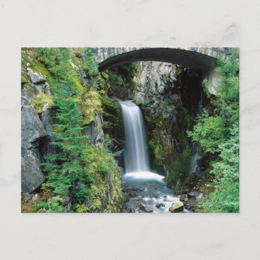 Ranier Nat. Park, Washington 5 Briefkaart (Voorkant)