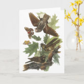 Ranselen-slecht-wil, John Audubon Kaart (Gele Bloem)