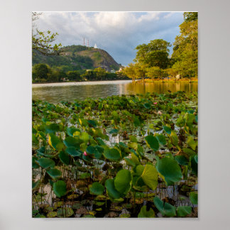 Ranthaliya-meer Kurunegala Sri Lanka Landschap Fot Poster