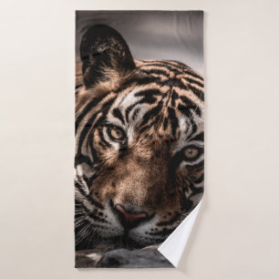ranthambore tigre mâle sauvage Image d'art