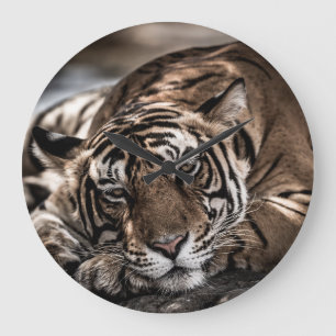 Ranthambore tijger: close-up fijne kunst. grote klok