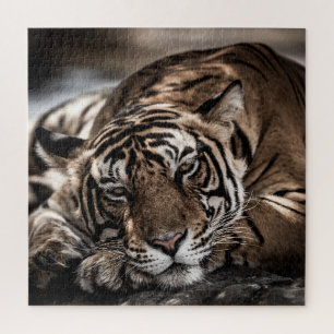 Ranthambore tijger: close-up fijne kunst. legpuzzel
