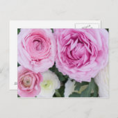 Ranunculus Briefkaart (Voorkant / Achterkant)