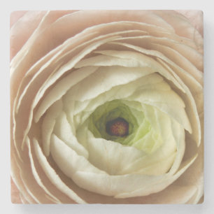 Ranunculus Flower Stenen Onderzetter