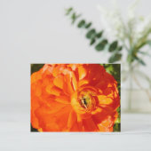 Ranunculus MS Awareness Briefkaart (Staand voorkant)
