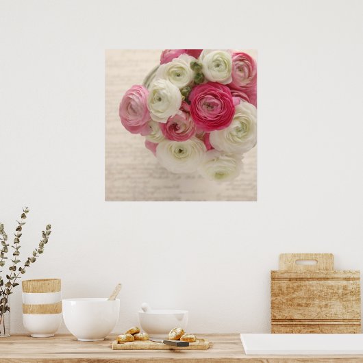 ranunculus rose et blanc sur affiche (Cuisine)