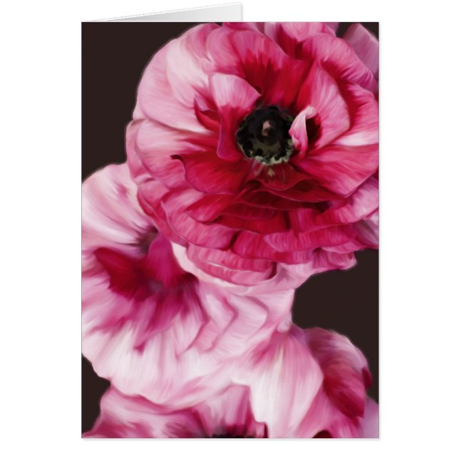 Ranunculus rouge (Devant)