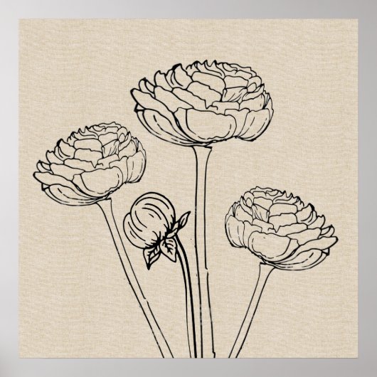 Ranunculus Tekendoek Bloem Poster (Voorkant)