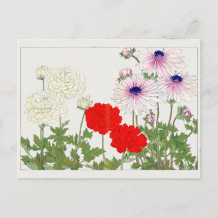 Ranunculus van Tanigami Konan Briefkaart