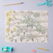  Ranunculus Wilde Bloembloemen Weefpapier Tissuepapier (Craft)