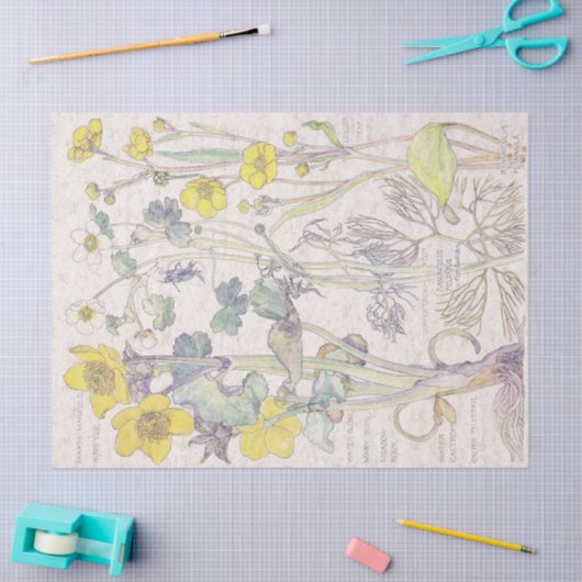 Ranunculus Wildflower Flowers Weefpapier Tissuepapier (Craft)